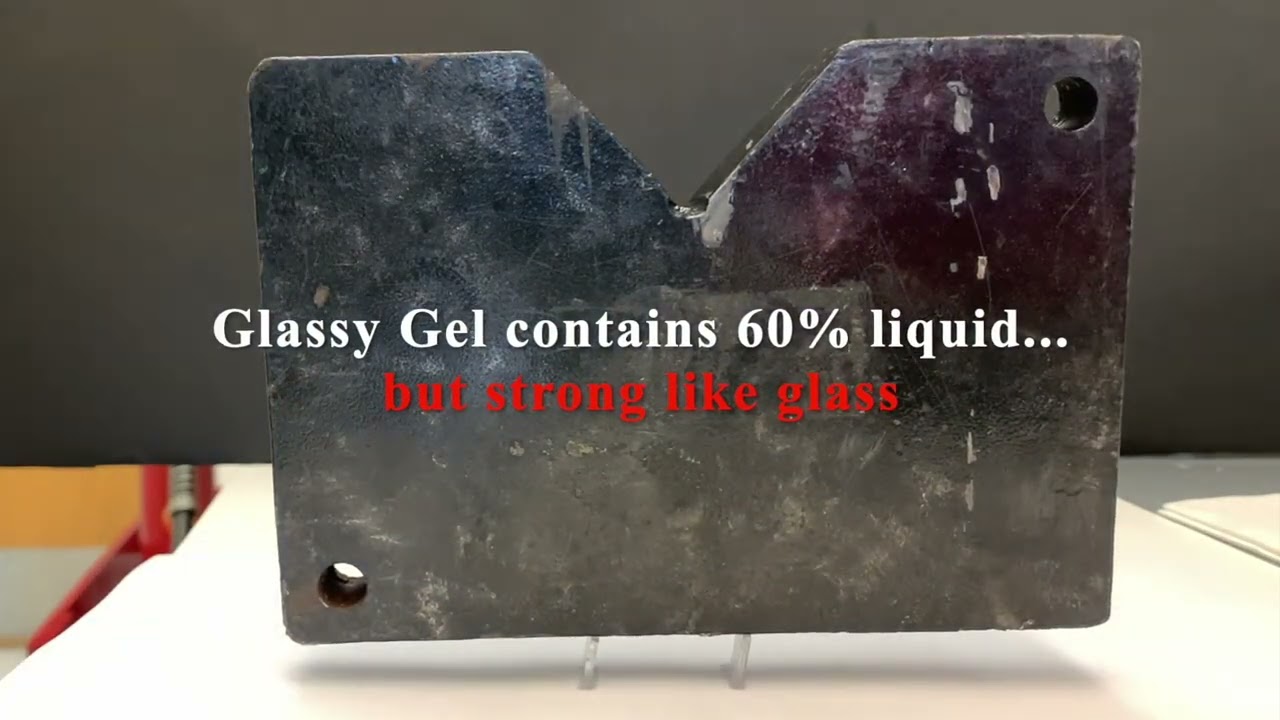 Glassy Gels Toughened by Solvent