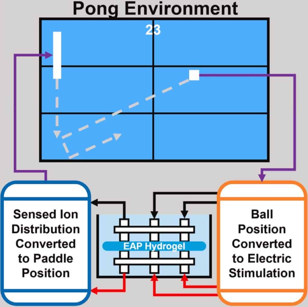 pong3