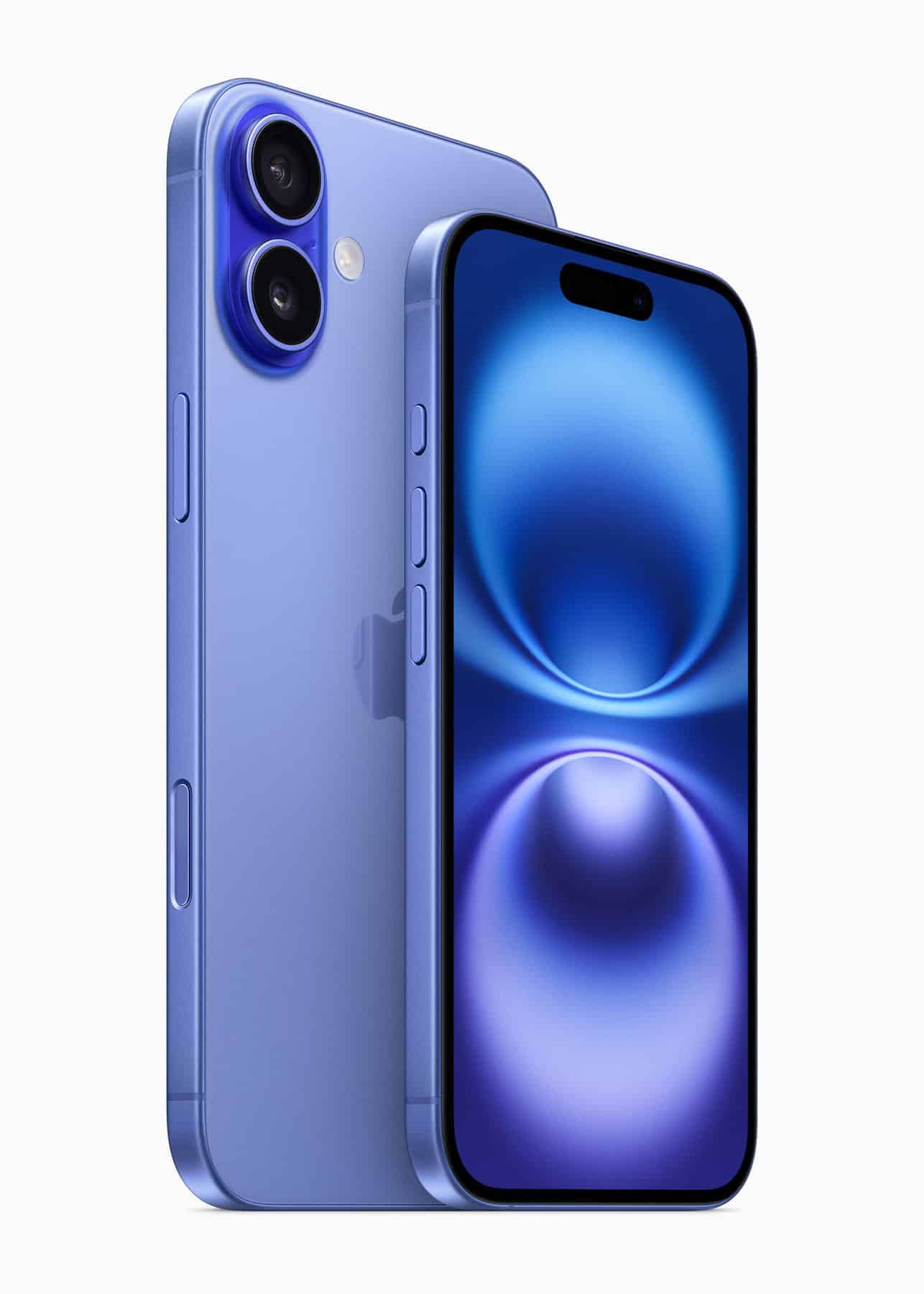 【低評価に関してプロフ参照】Apple  apple-explanation-a-003-