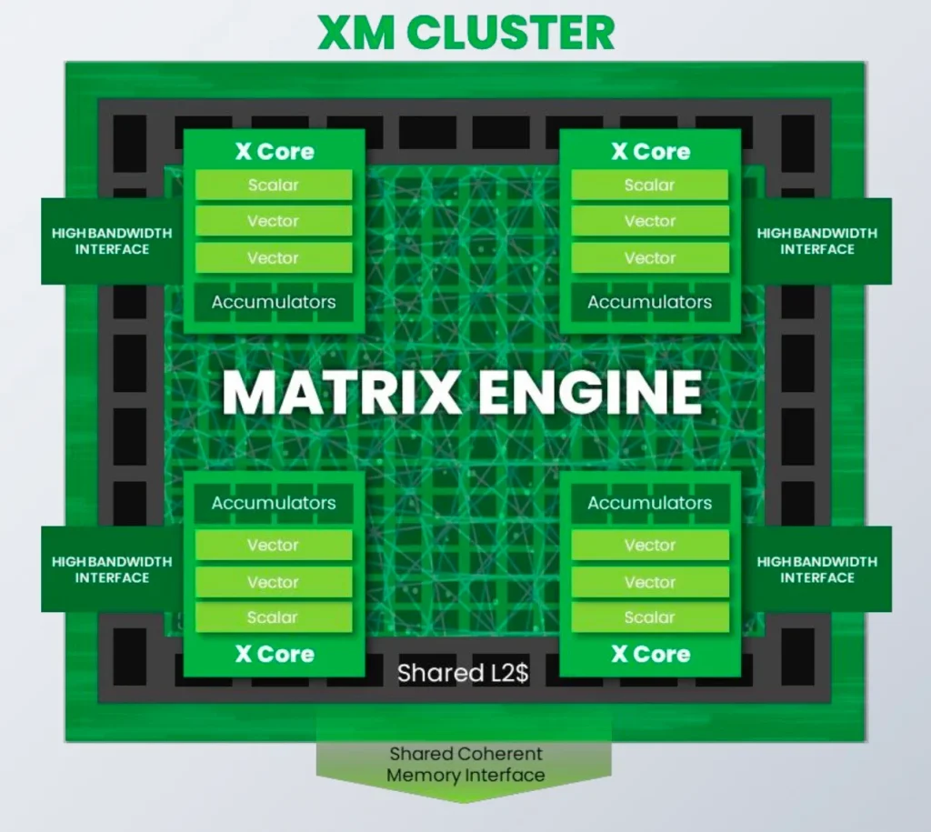 sifive xm cluster