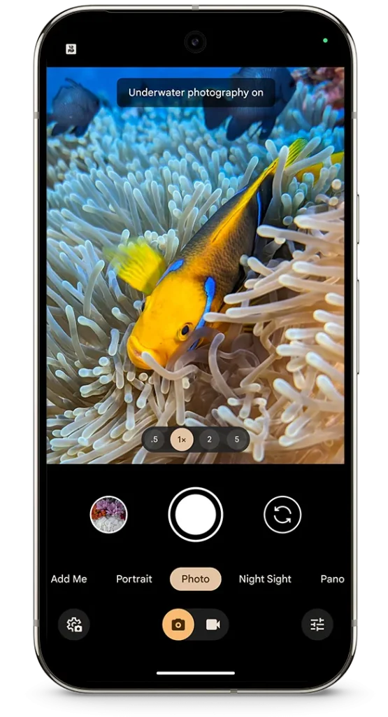 Pixel 9 Pro Underwater Images.width 1000.format webp