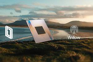 google-willow