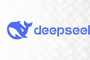 deepseek-block