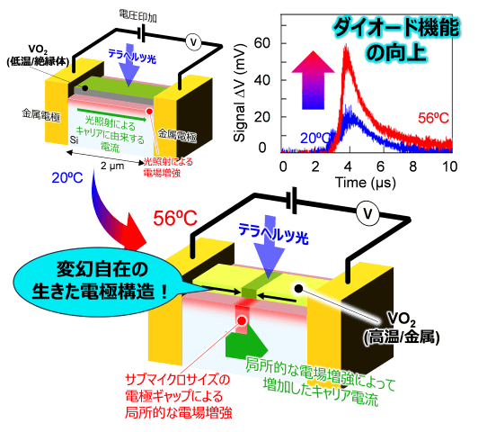 topics 20250205 osaka