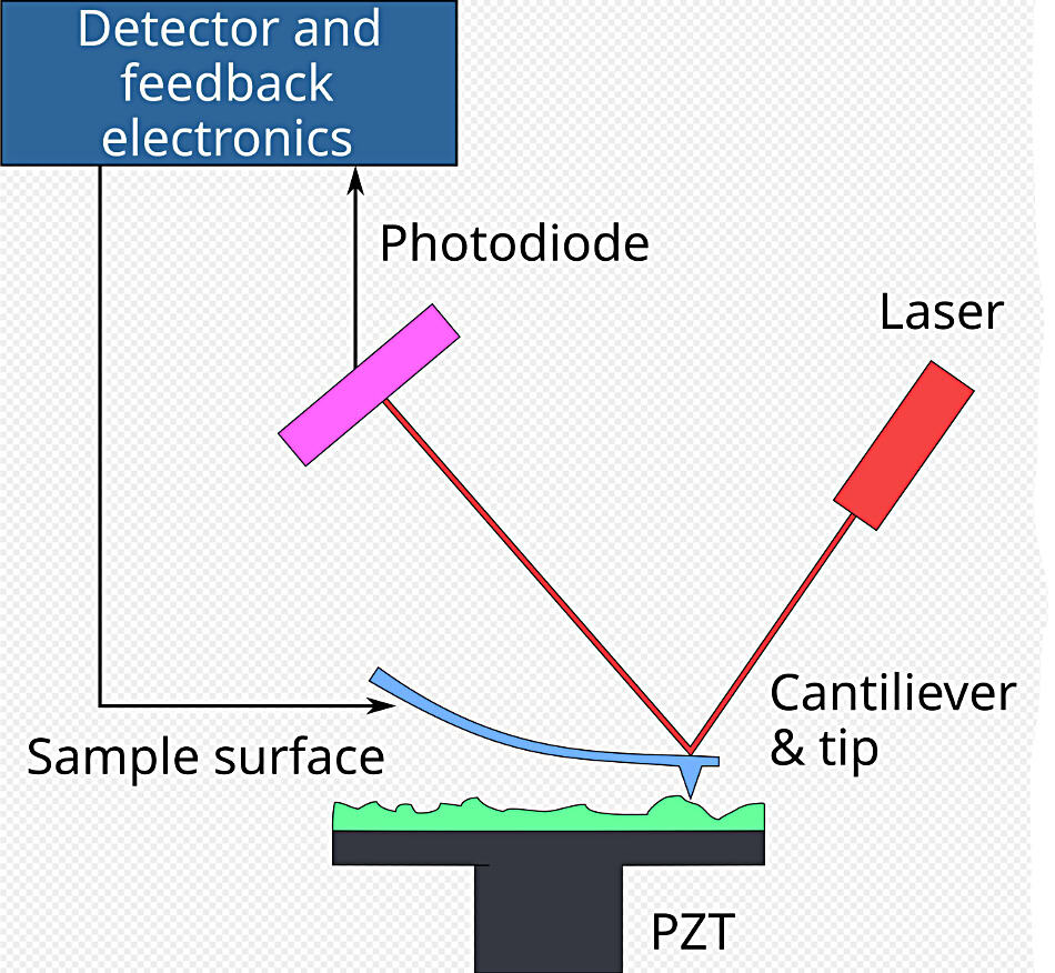 Atomic Force Microscope diagram