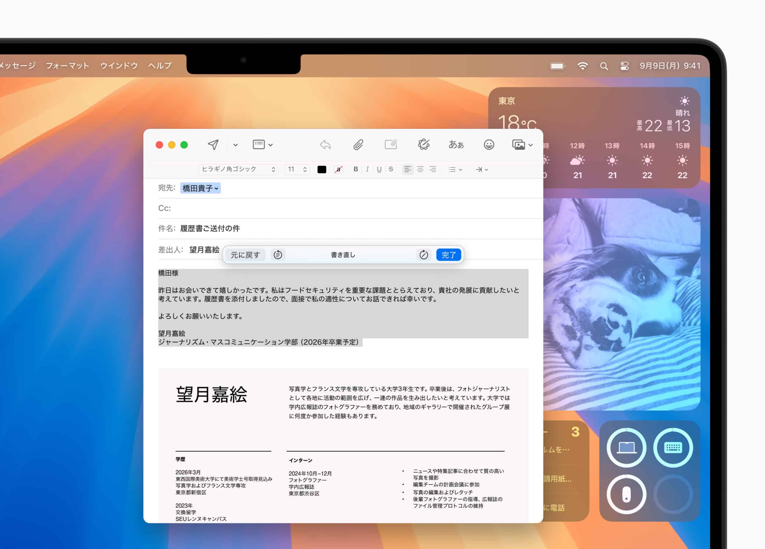 Apple Intelligence JP Writing Tools