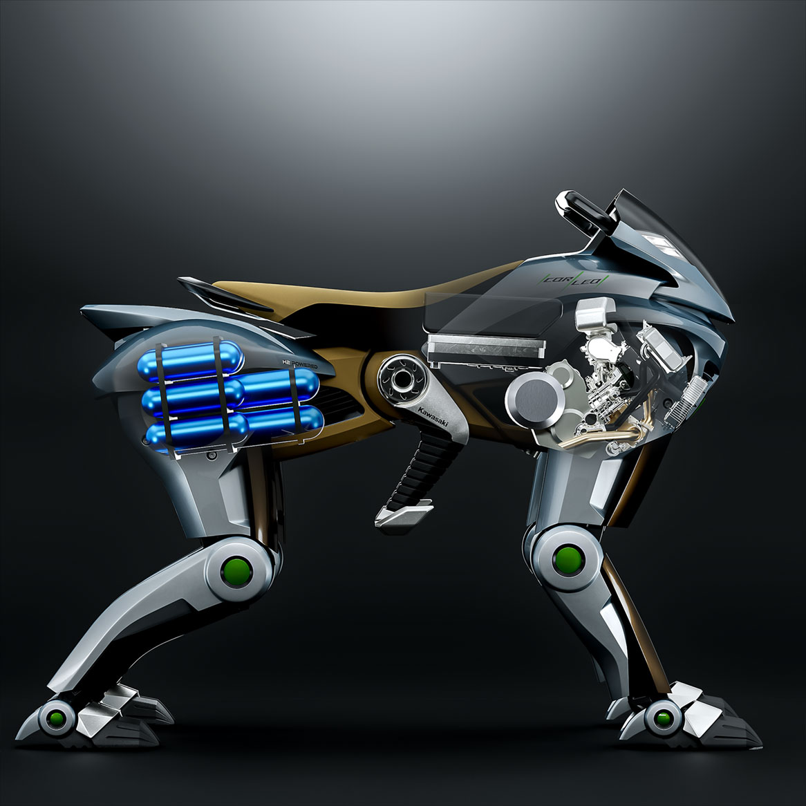 kawasaki corleo