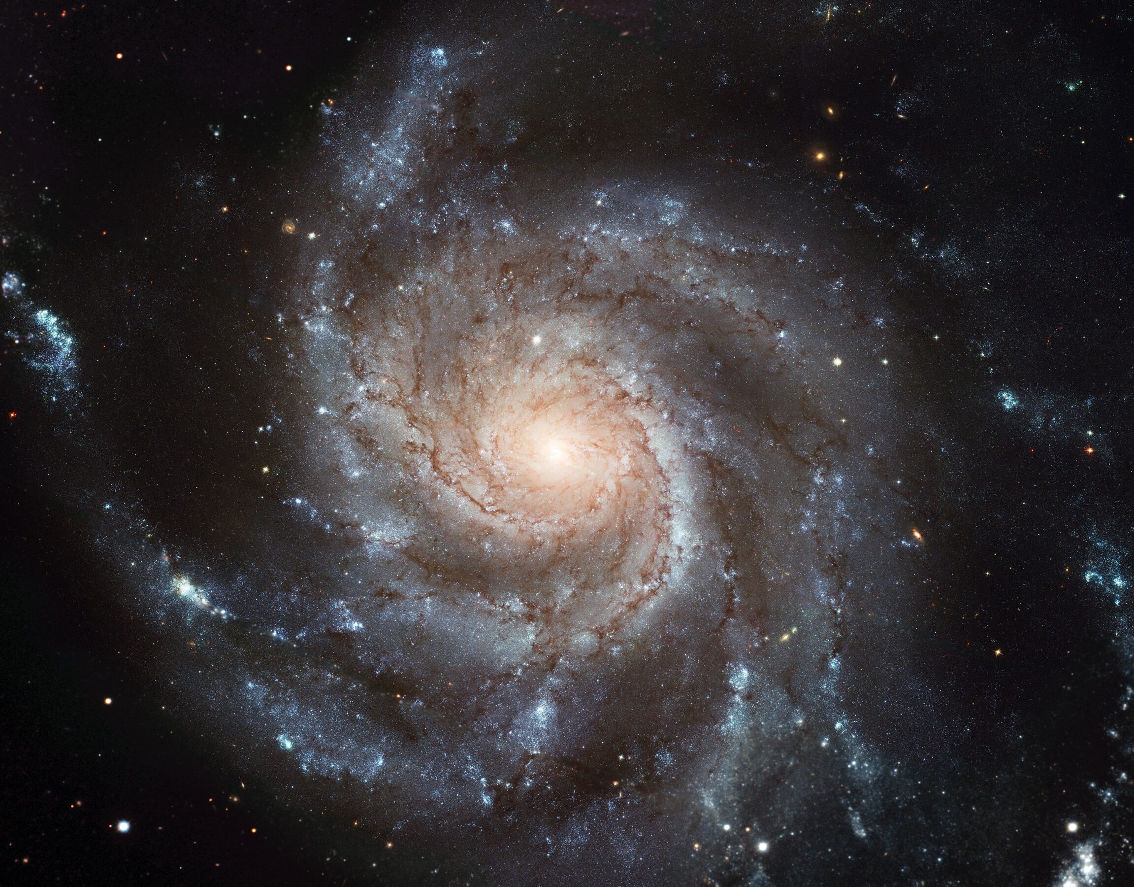 2763px M101 hires STScI PRC2006 10a
