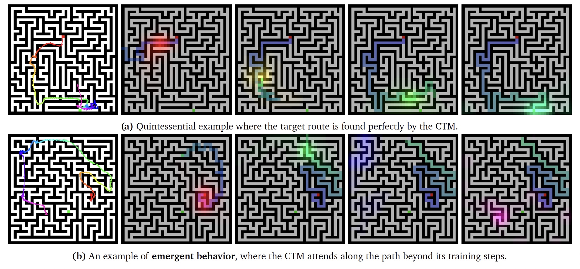 Sakana AI Continuous Thought Machine Maze Solving