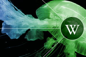 Wikipedia-AI-Strategy-Announcement
