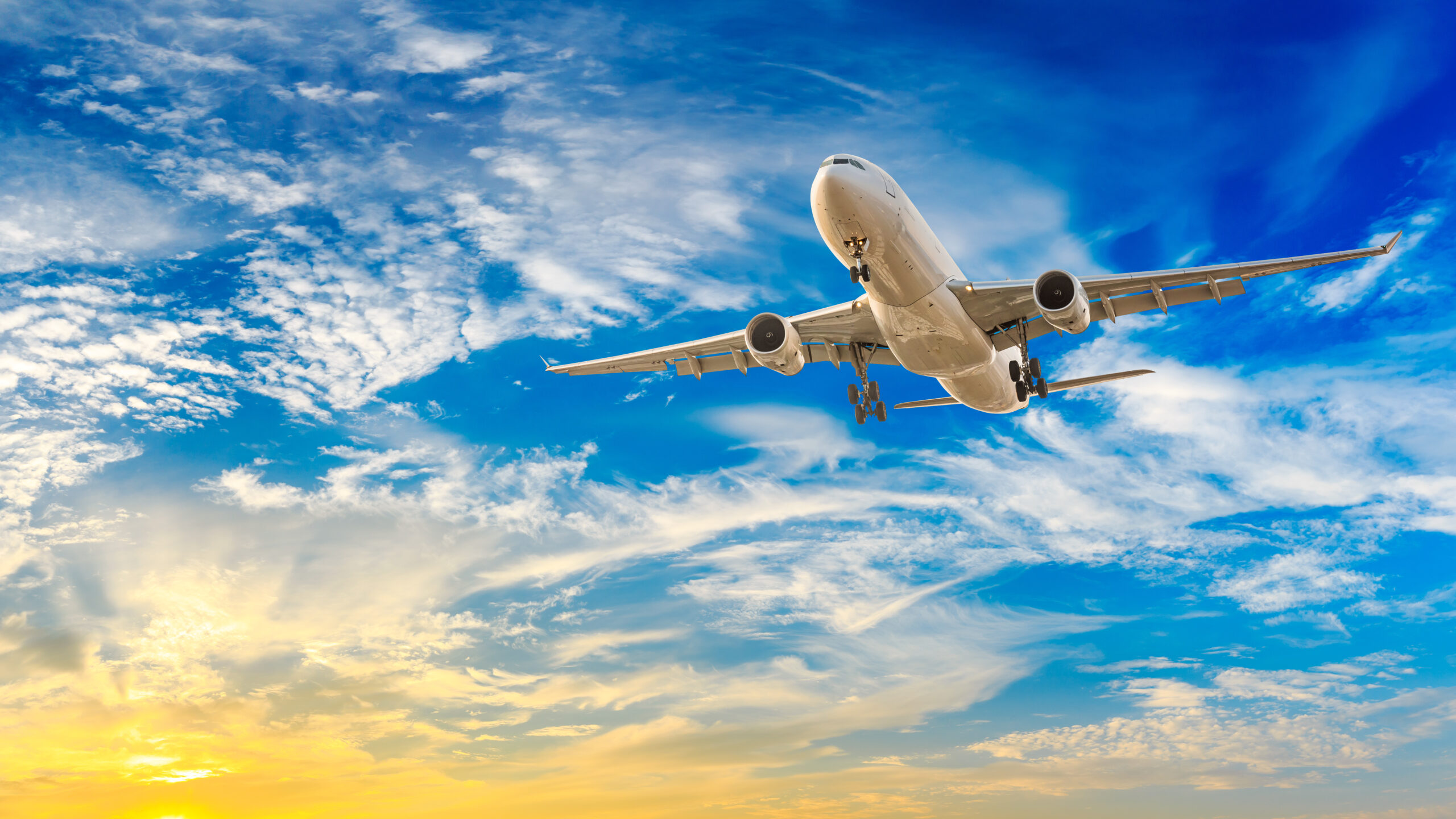 CO2を吸収しながら航空機を飛ばすことが可能な「液体ナトリウム燃料電池」の開発にMITが成功
