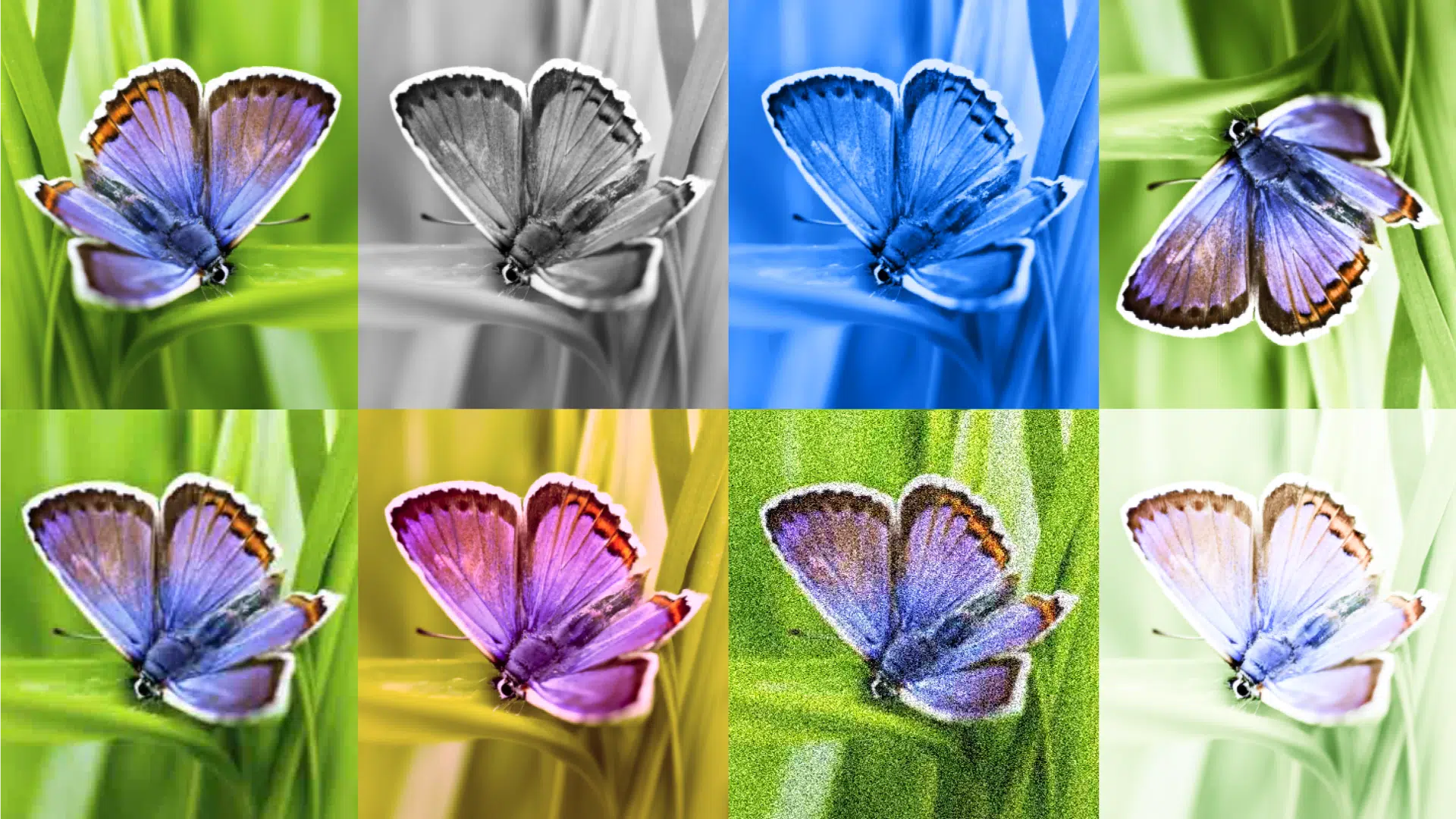 google deepmind synthid