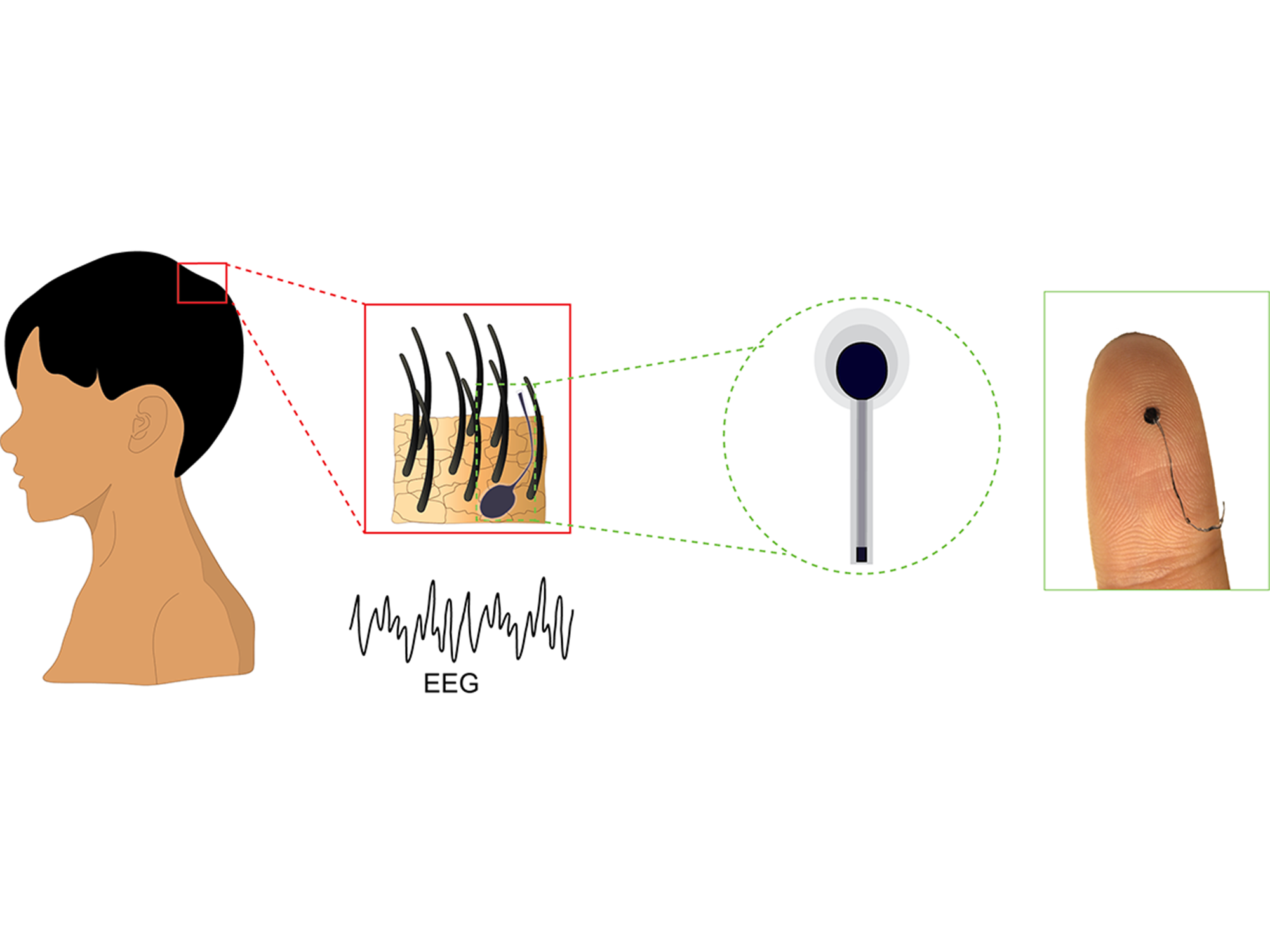 zhou eeg electrode