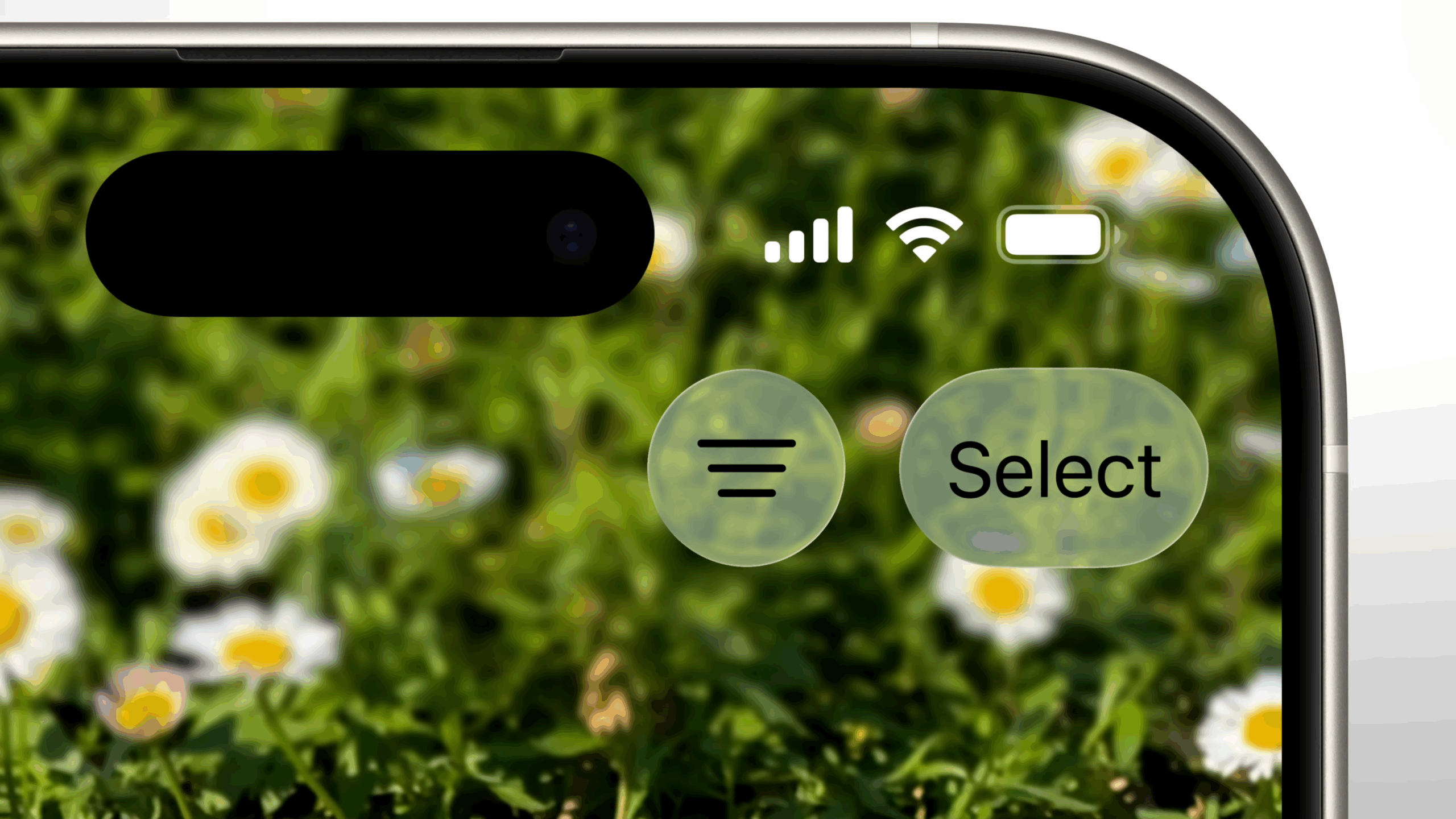 ios 26 liquid glass control