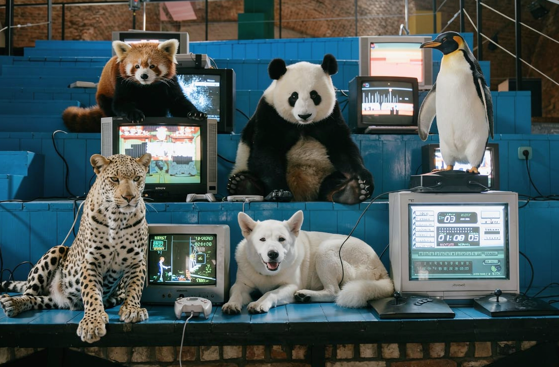 画像が削除されました